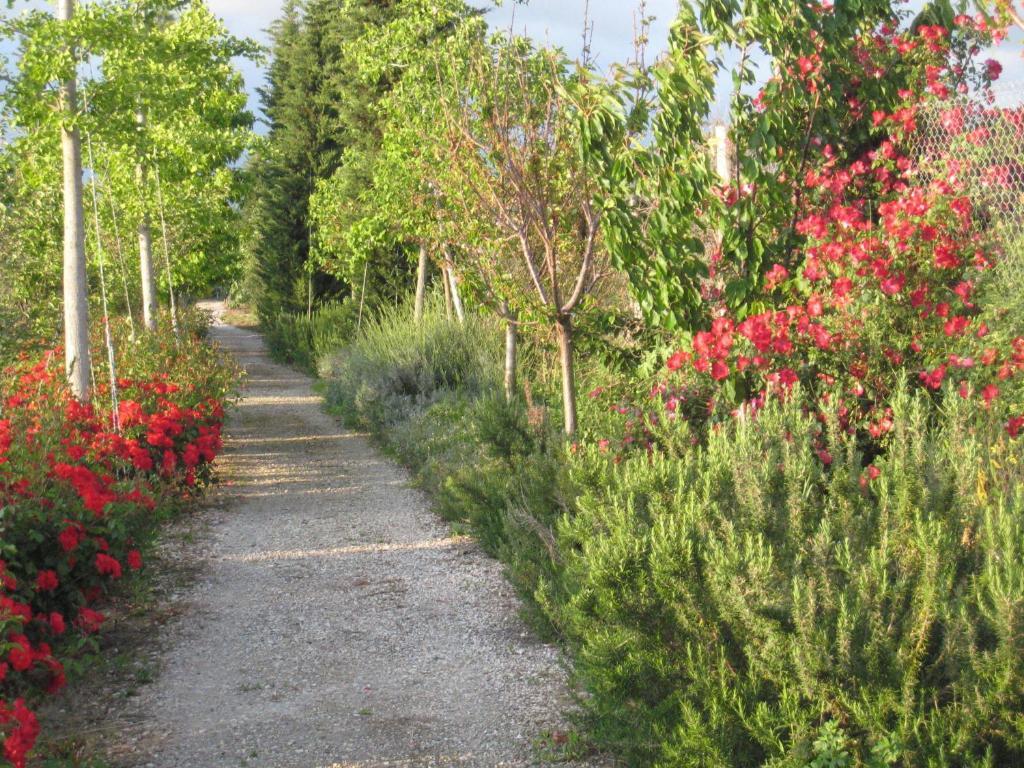 Hotel Campastrello Sport Castagneto Carducci