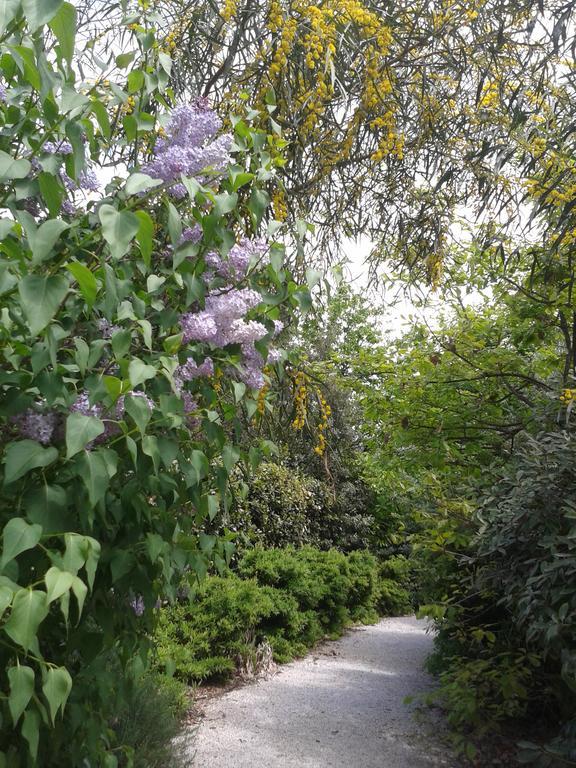 Hotel Campastrello Sport Castagneto Carducci